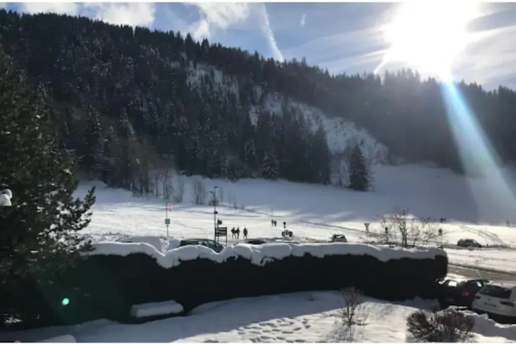 Studio Cabine A La Clusaz Avec Garage Frankrike